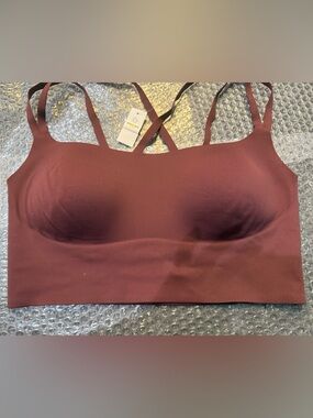 aerie Seamless Padded Bralette - Wine/Burgundy